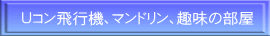 Ｕコン飛行機、マンドリン、趣味の部屋 