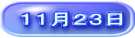 １１月２３日
