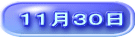 １１月３０日